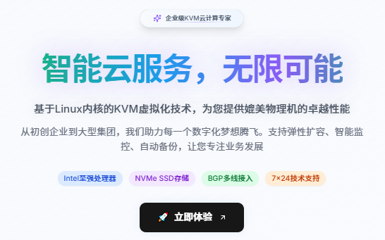酷鸭数据新推香港/新加坡VPS：首月低至1元，原生IP+无限流量