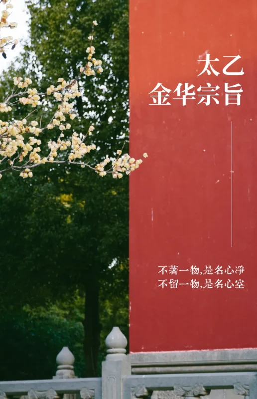 《太乙金华宗旨》原文+译文-小严网络